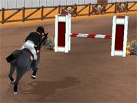 Show Jumping