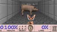 Super 3D Pig Feeder
